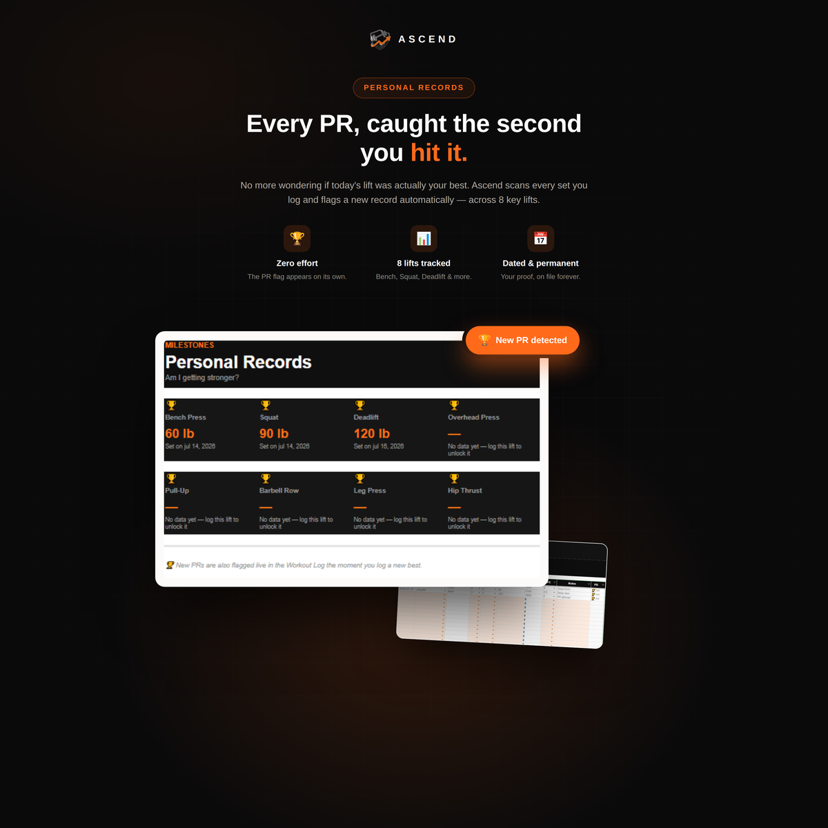 Fitness Progress Tracker + Free Training Guide